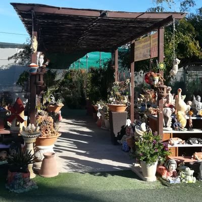 Jardinería monteazahar es un garden qué cultivamos todo tipo de plantas ornamentales, y también hacemos todos los trabajos relacionados con jardines..