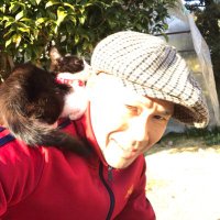ヒメイ ユウスケ (@vin_lowe) 's Twitter Profile
