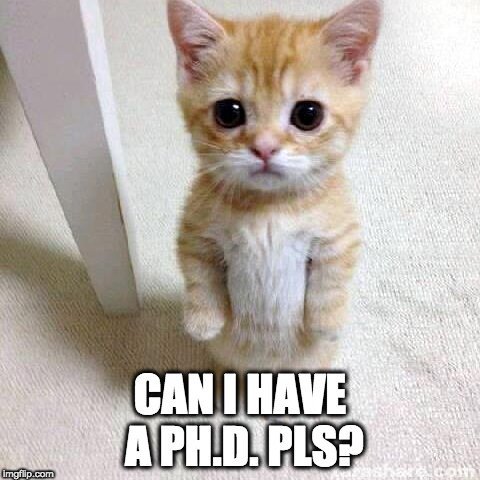 Image result for phd memes