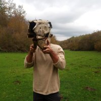 Luca Coricelli (@lucacoric) 's Twitter Profile