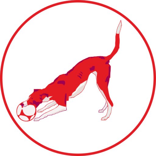 Redhound Logo Design gives you visual expressions of your identity.