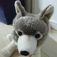 riko.riko123 (@rikoriko095126) 's Twitter Profile Photo