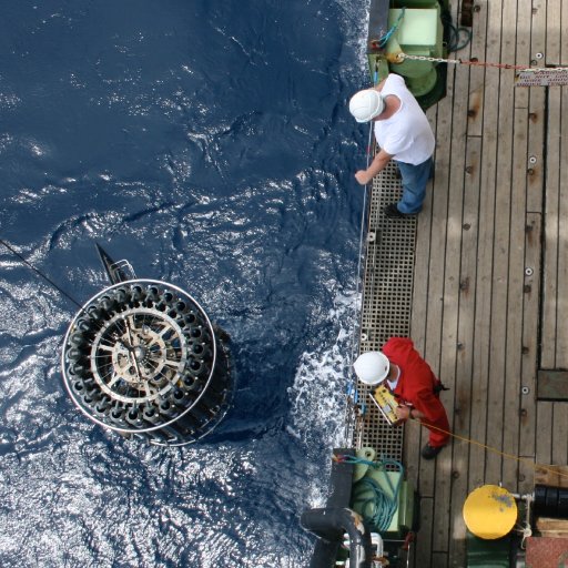 Advances in Marine Biogeochemistry: Special Interest Group of the UK Challenger Society for Marine Science; All aspects of Marine Biogeochemistry