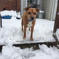 #cyesart (@cyesart) 's Twitter Profile