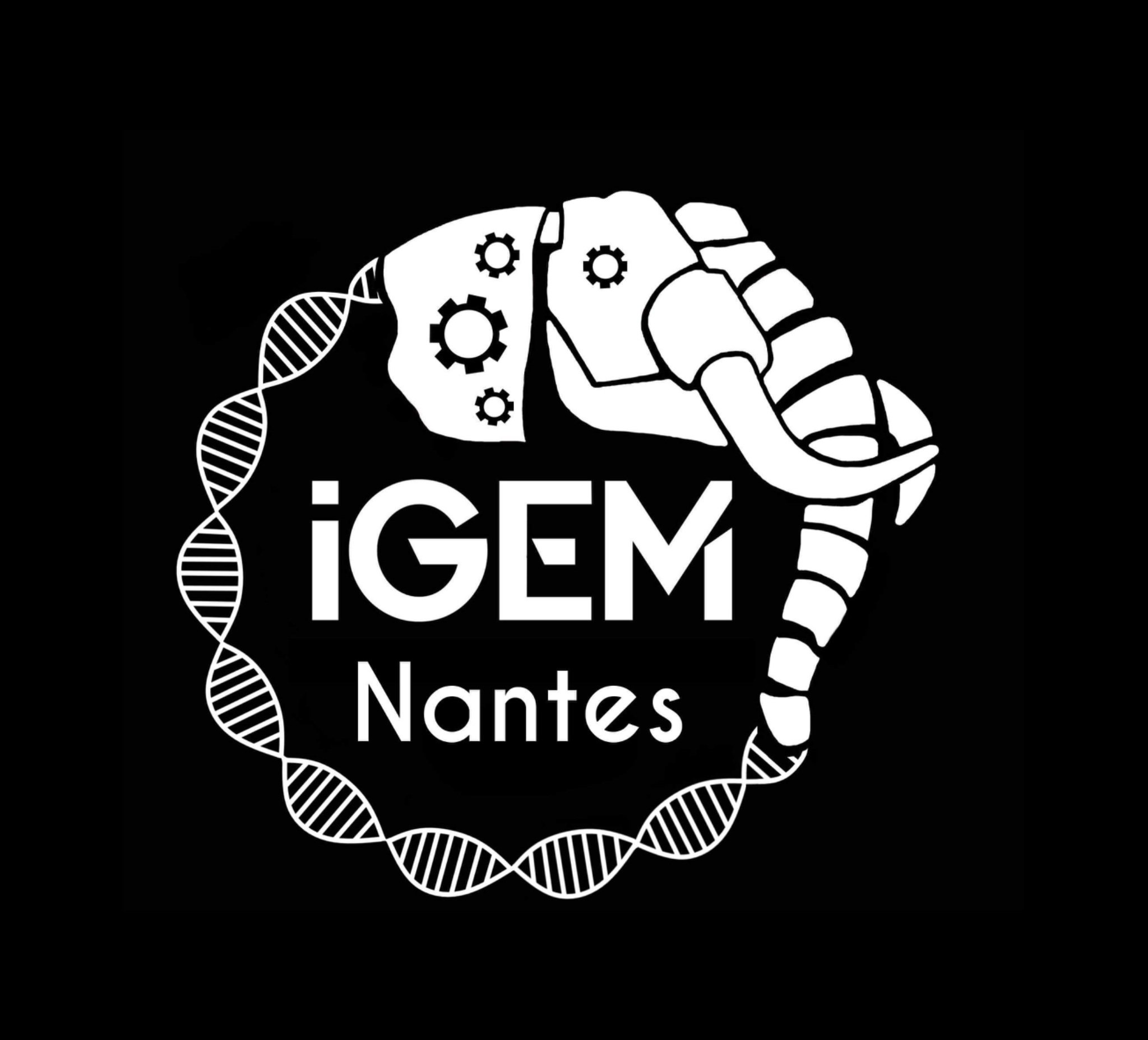 Join us on the iGEM adventure! we are from Nantes, France 🇫🇷👩‍🔬👨‍🔬⚙️