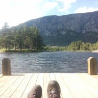 Birgit Rydlewski (@b_rydlewski) 's Twitter Profile