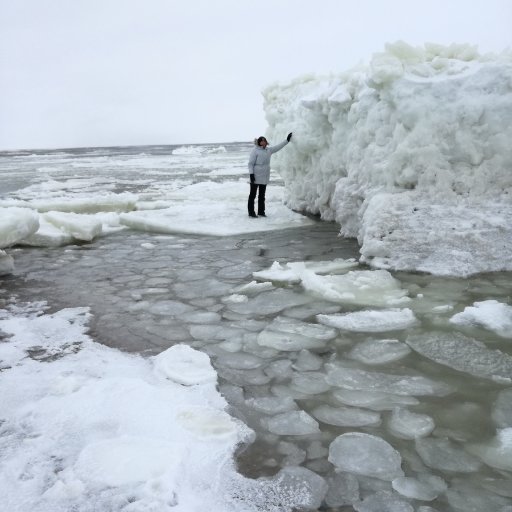 Anthropology of Heritage PhD candidate @UniRdg_Arch // Collections Coordinator // Polar museums // Antarctic collections // Questioning 