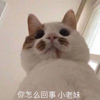 努力减肥为了自己 (@bbox2024) 's Twitter Profile