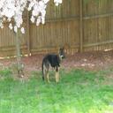 Erin Rouse - @Mai_Maii - Twitter