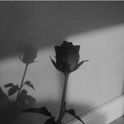 usn127's profile picture. 