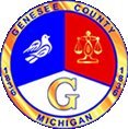 The Genesee County FOC is committed to assisting families with getting support and adjusting to divorce.