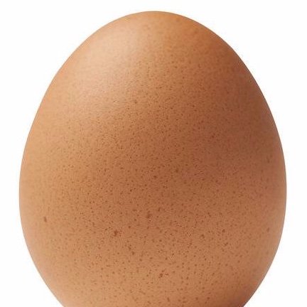 IAmAlmostAnEgg's profile picture. I think that I am almost certain that I am almost an egg ⚡️🐲⚔️