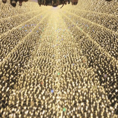 TS75599150's profile picture. 初めまして。名古屋で正社員の営業のお仕事をご紹介させて頂いており一緒に働いてくれる人財を探しております。宜しくお願いします。皆様の人生を変えるキッカケになれたらなと思います。