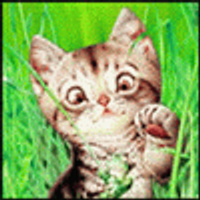 Жанна (@skazkarebenku) 's Twitter Profile