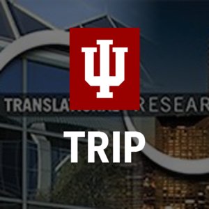 IUI Center for Translating Research into Practice