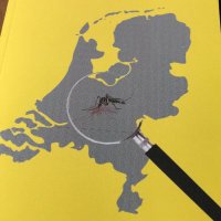 Adolfo Ibanez (@ibanez_bros) 's Twitter Profile