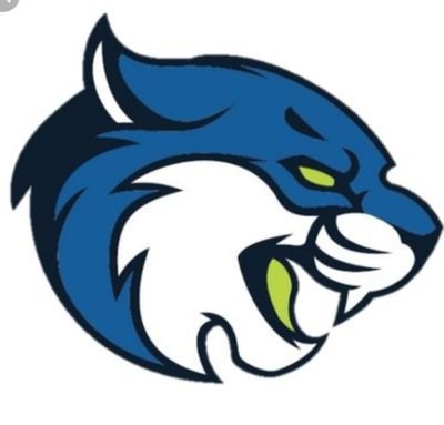 The official Twitter of Bryant & Stratton College (WI) Softball | NJCAA DII | 2022 Region IV, District B Champions | #rollcats