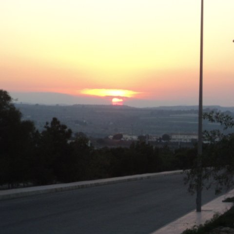 pugaltejose's profile picture. Me gusta mucho el sol y la vida tranquila 😅🇪🇸Gold & Silver