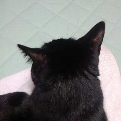 sinistral0210's profile picture. 