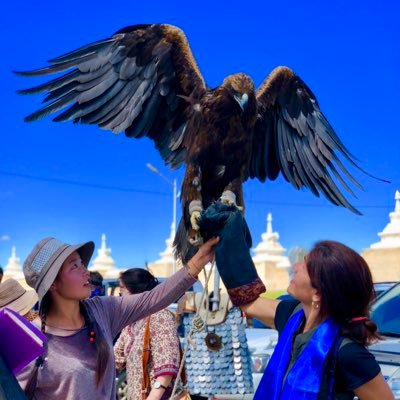 annlluck's profile picture. 