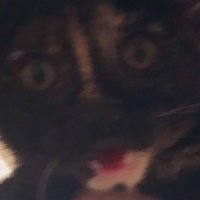 help (@grangusdrangus) 's Twitter Profile