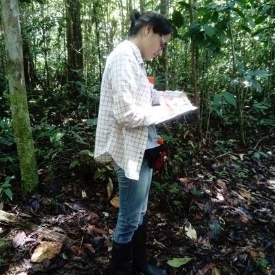 MimitaRojas's profile picture. Tropical ecologist | Climate change | Floristic composition monitoring