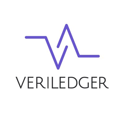 VeriLedger's profile picture. Decrypting cryptocurrency accounting