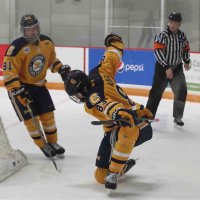 Austin Alger (@austinalger18) 's Twitter Profile