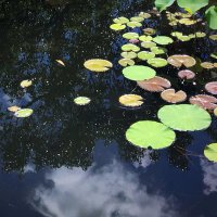 Meandering Streams (@meanderingstre1) 's Twitter Profile Photo Meandering Streams (@meanderingstre1) 's Twitter Profile Photo