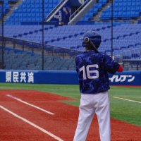 しらい (@evolve_mmxiv) 's Twitter Profile