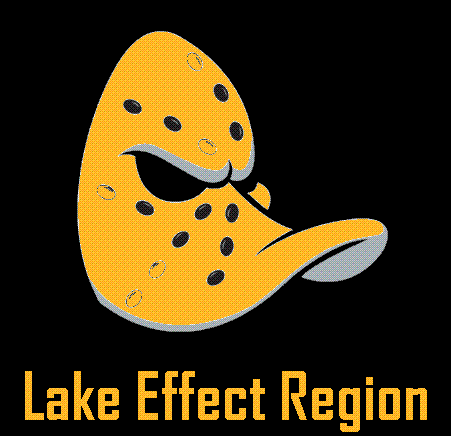 TeamLakeEffect's profile picture. 