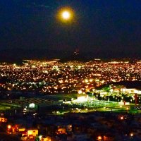 Silvia Herrera (@silviah70542435) 's Twitter Profile