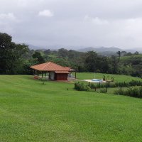 José Antonio Suárez (@infectotropico) 's Twitter Profile