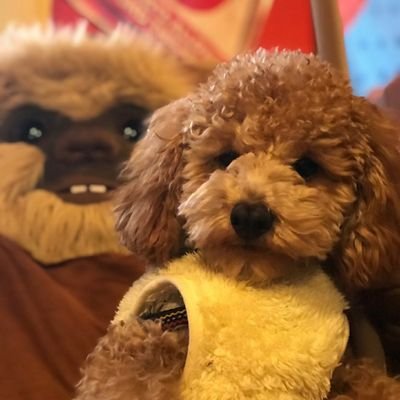 Darth Eddiousさんのプロフィール画像