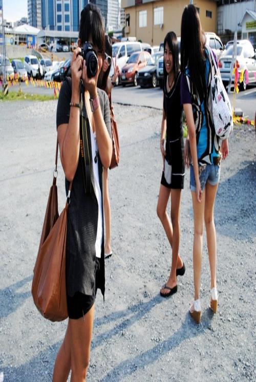 shebangwduc's profile picture. 