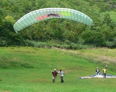 corgi111's profile picture. 