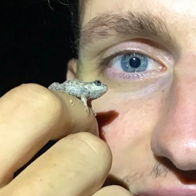 Matt Clancy Profile