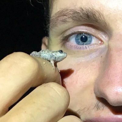 Melbourne-based ecologist & wildlife photographer with a passion for herpetology. Threatened frog research & bioacoustics. Insta: @clancy_wildlife