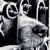 Зарабатываю в интернете миллионы. В карманах прячу скипетр и державу. Отменил крепостное право на Руси.