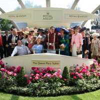 Hot To Trot Racing (@hottotrotracing) 's Twitter Profile