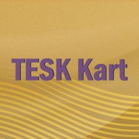 TESK Kart (@teskkart) 's Twitter Profile