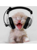 Alexander - @76vanity - Twitter