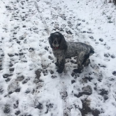 charlot13067470's profile picture. 