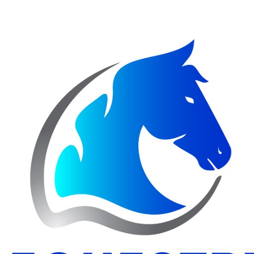 ce_equestrian's profile picture. Equestrian retailer selling premium brands online and in person across the Midlands
