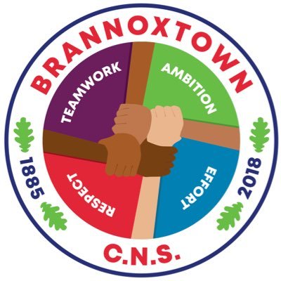brannoxtowncns's profile picture. Brannoxtown Community National School, established September 2018. Having fun finding our feet!