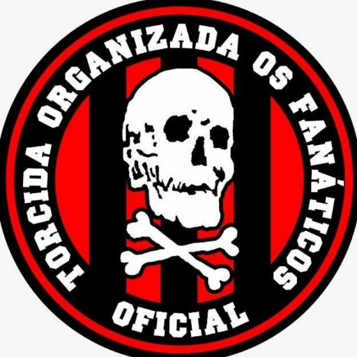 A Maior Torcida Organizada do Sul do Brasil.