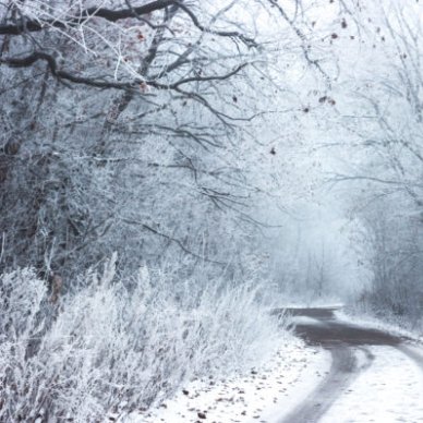 Zenobia Frome (@FromeZenobia) | Twitter