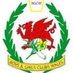 BGC WALES RUGBY (@boys_rugby) Twitter profile photo