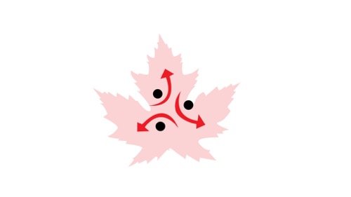 talent_leaders's profile picture. World's best CV Writing Service