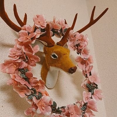 まぁやん*ｽﾊﾟﾅﾁｲｲﾖﾈ*さんのプロフィール画像